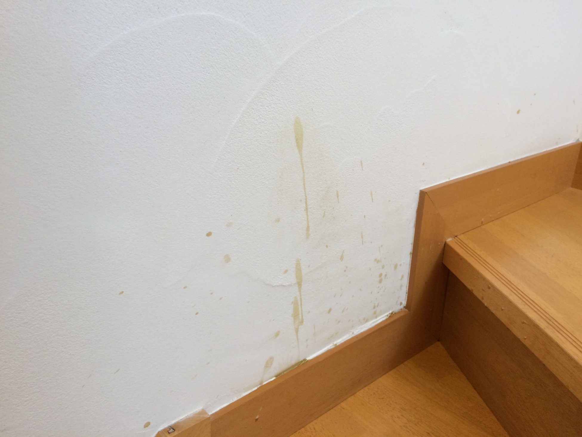 漆喰壁にコーヒー をこぼした場合の４つの対処法