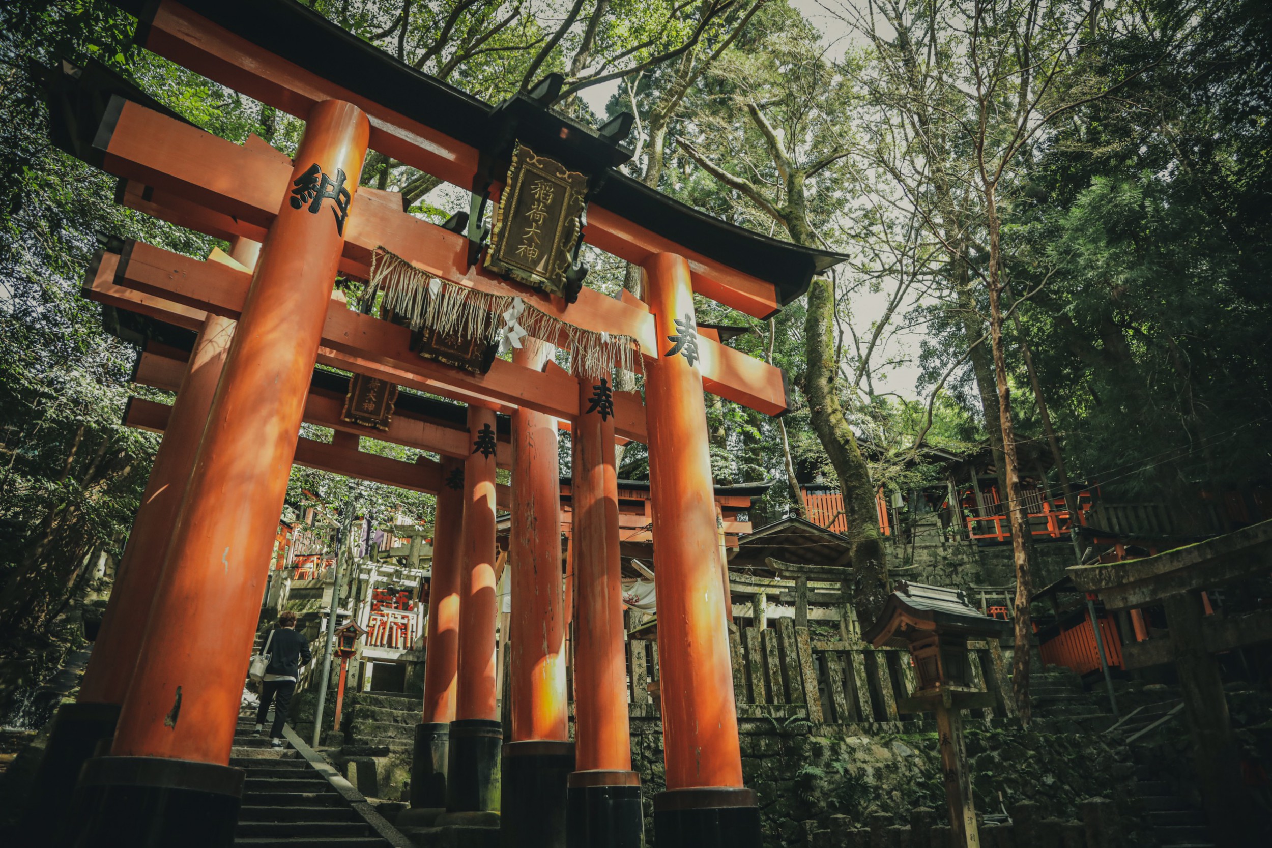 招き猫　30㌢　伏見稲荷購入　千客万来　黒左手　大福運　一尺　神社　商売　神様 楽天市場】招き猫(左：千客万来) ／九谷焼9号(高さ29cm) 盛