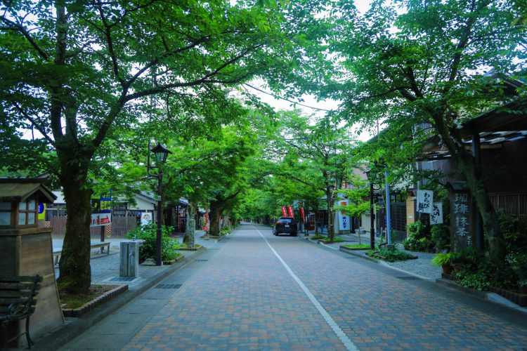 岐阜の隠れ観光スポット 静寂を楽しむ 谷汲山華厳寺