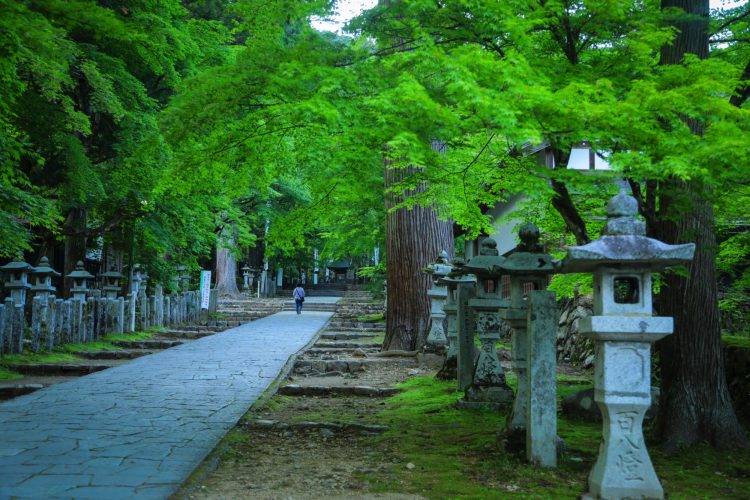 岐阜の隠れ観光スポット 静寂を楽しむ 谷汲山華厳寺