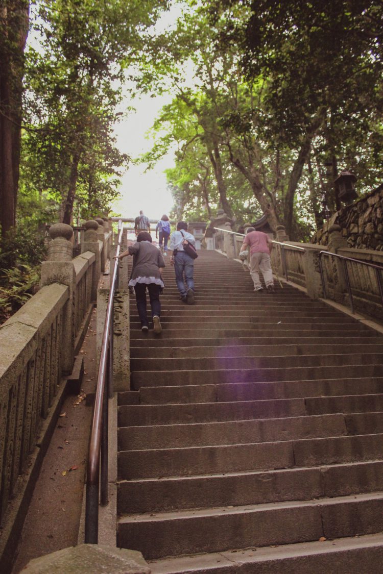 香川県の金刀比羅宮の最後の階段