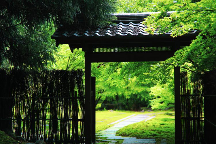 岐阜市にある大智寺の門から見える綺麗な緑