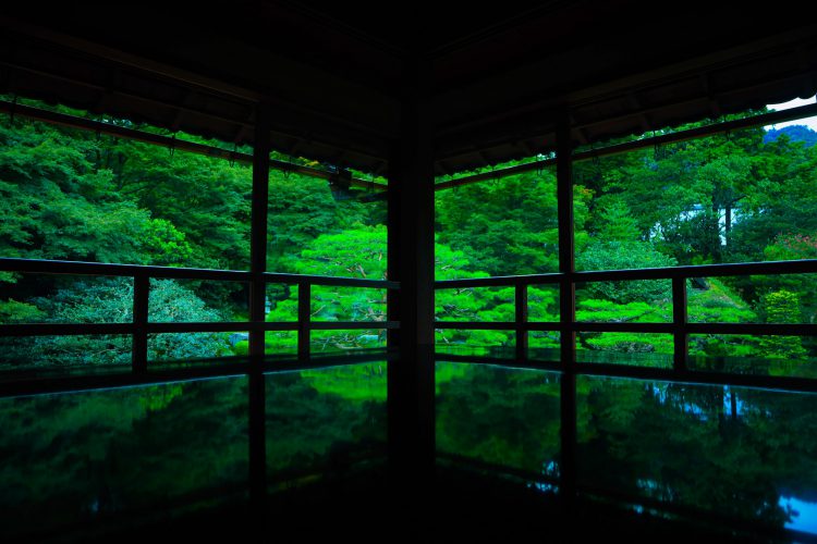 滋賀県大津市の重要伝統的建造物郡保存地区にある旧竹林院の2階からの庭の風景.jpg