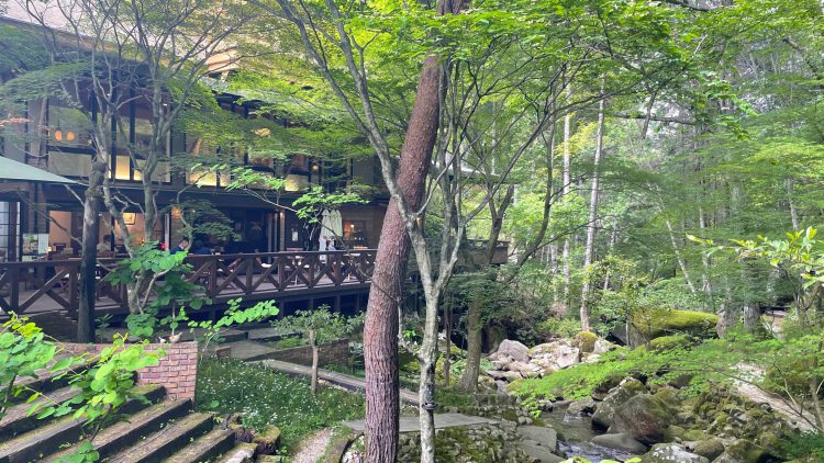 岐阜県瑞浪市にある自然に囲まれたカフェ･了庵(りょうあん)の自然あふれるお庭